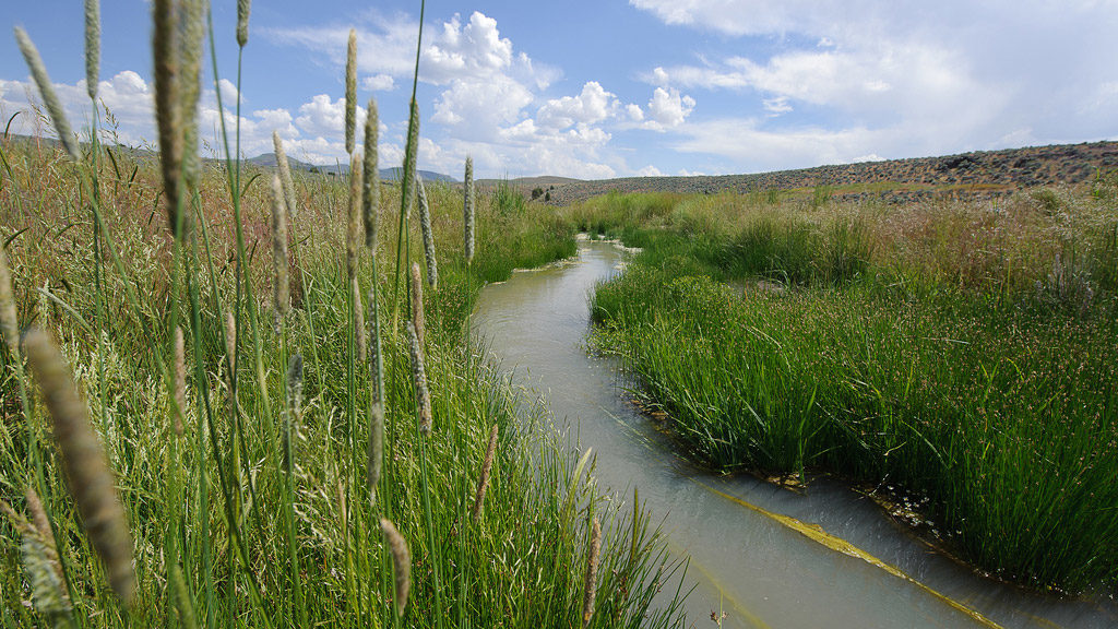 a panoramic photograph of the Sage Creek Restoration project